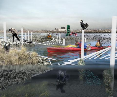 People kayak, scuba dive, and work on an imagined oyster farm in Brooklyn